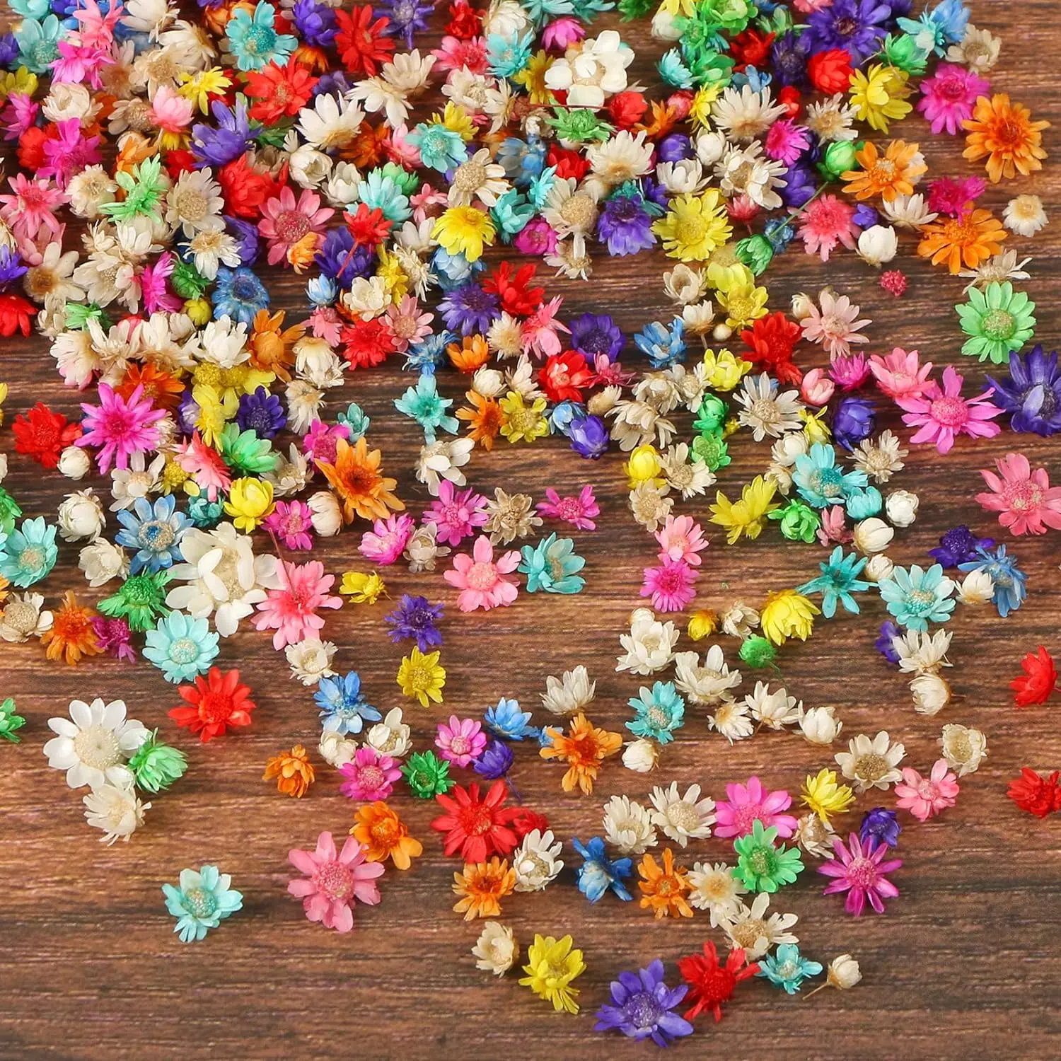 100Pcs Small Dried Flowers Natural Real Tiny Dried Pressed Flowers for Jewelry Earrings Epoxy Molds DIY Candles Soap Making