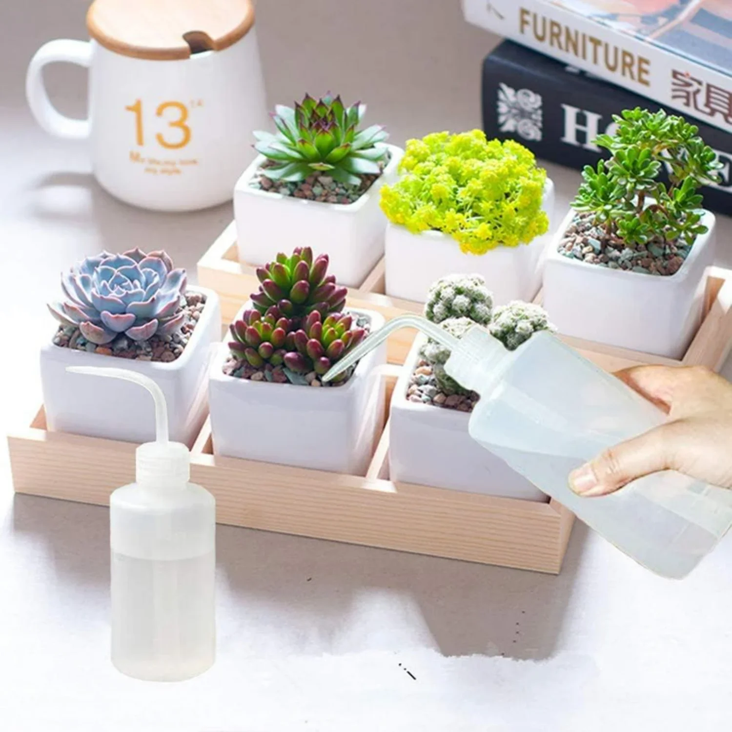 Watering Can 250ML 500ML Succulent Watering Bottle Plant Flower Squeeze Bottle Plastic Bend Mouth Safety Wash Bottle