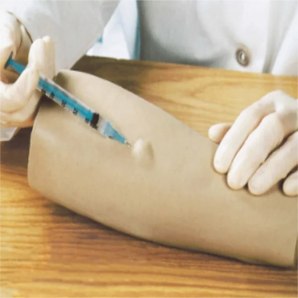 Intradermal injection model of arm