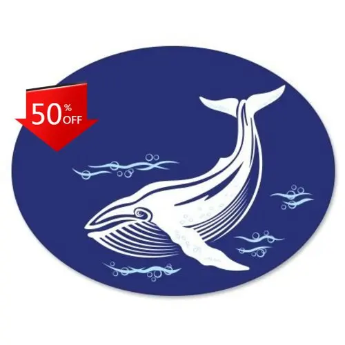 

Whale Oval Unique Motor Home Bumper Laptop Boat Accessory Trendy Funny