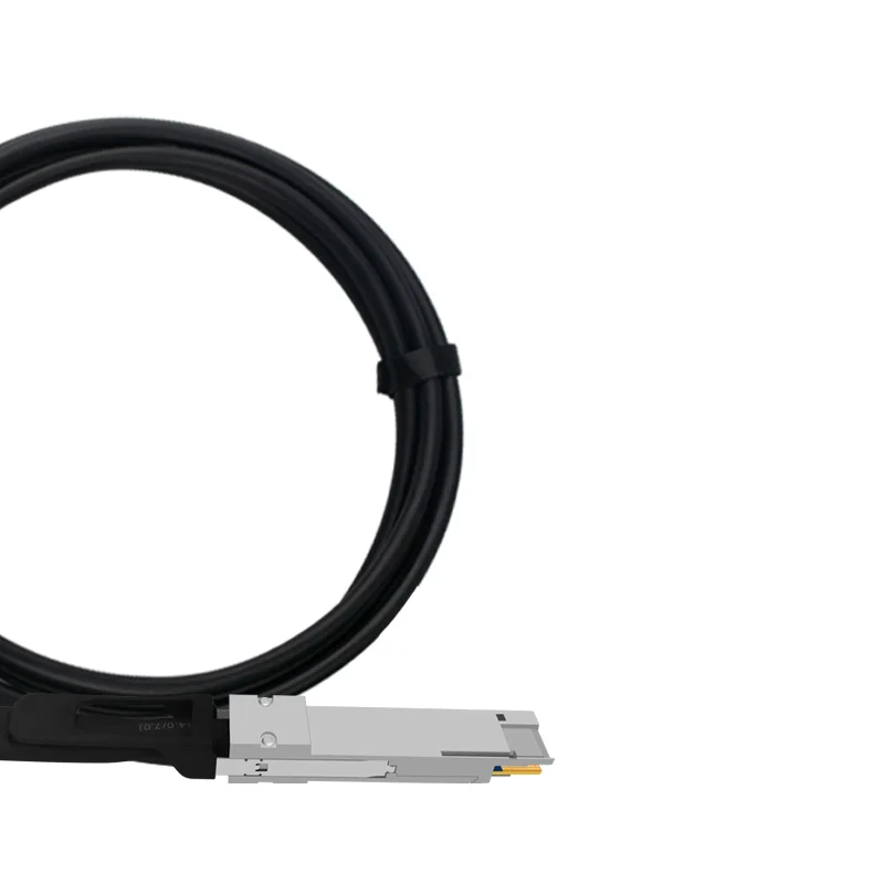 400G DAC 케이블 QSFP-DD - QSFP-DD 0.5m 1m 1.5m 2m 3m 직접 연결 구리 DAC 케이블 (Cisco, Mellanox, Mikrotik 호환)