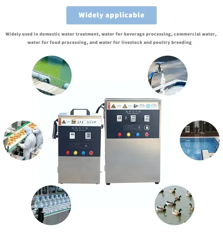 10g Ozone Generator Small-scale Fish Farming Equipment Water Treatment Machine