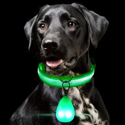 Pet LED Dog Light Pendant Glow-in-the-dark Anti-stray Light USB Night Dog Light Dogs Walking Accessories Waterproof Fashion