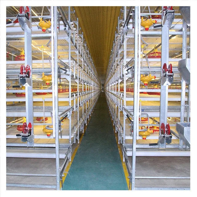 

Automatic Broiler Poultry Farms Equipment Chicken Cage for Sale