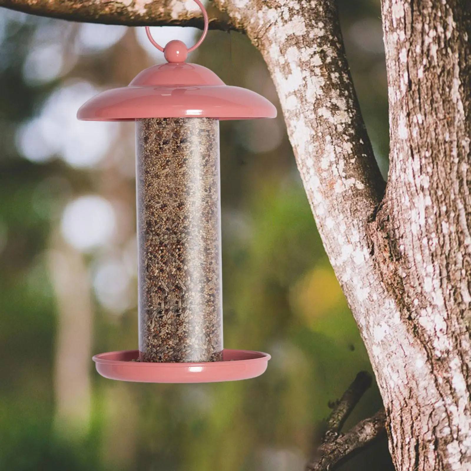 Bird Feeders Outside Hanging Lightweight Transparent Food Dispenser for