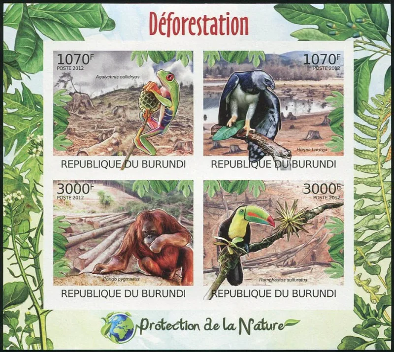 Burundi, 2012, Frog, Monkey, Animal, Toothless, Real Original Post Stamp, MNH