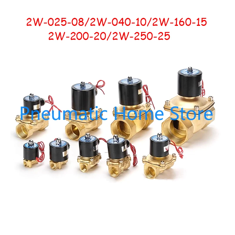 Normally Closed Solenoid Valve Copper Plated Water Valve 2W-025-08 2W-040-10 2W-160-15 2W-200-20 2W-250-25 AC220V DC24V DC12V