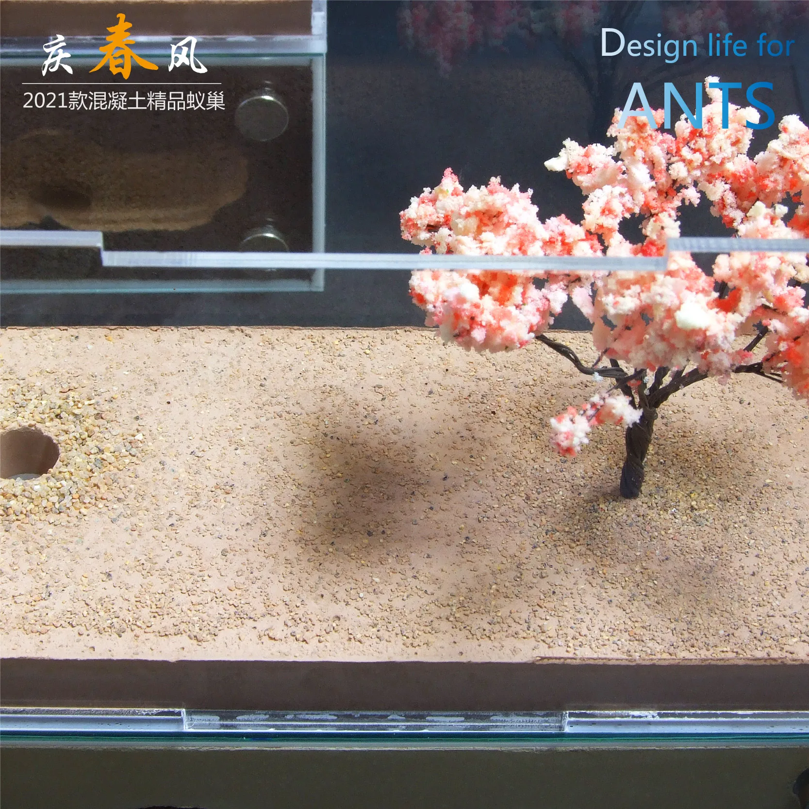 Professional Ecological Imitation Pet Ant Concrete Ant Nest Acrylic Villa Advanced Ant Queen Colony Pastoral Workshop