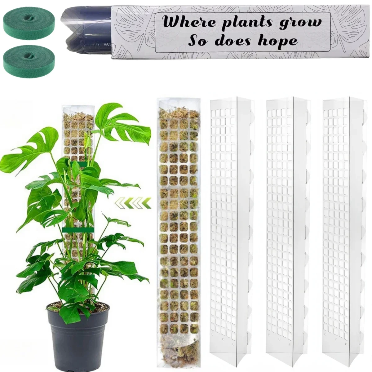

Moss Pole Plastic Plant Stand Indoor Climbing Plants Guardian Tutors Pot Moss Stick Plants Growth Garden Support Accessories