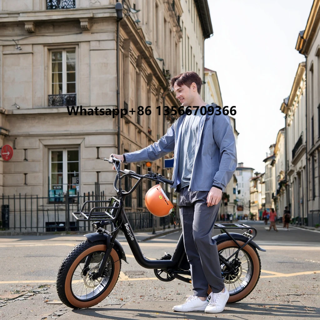 

EU/US Warehouse 20'' Fat Tire Electric Bike 2 Wheel Electric Cargo Bike 1500W All-Terrain Electric Bicycle