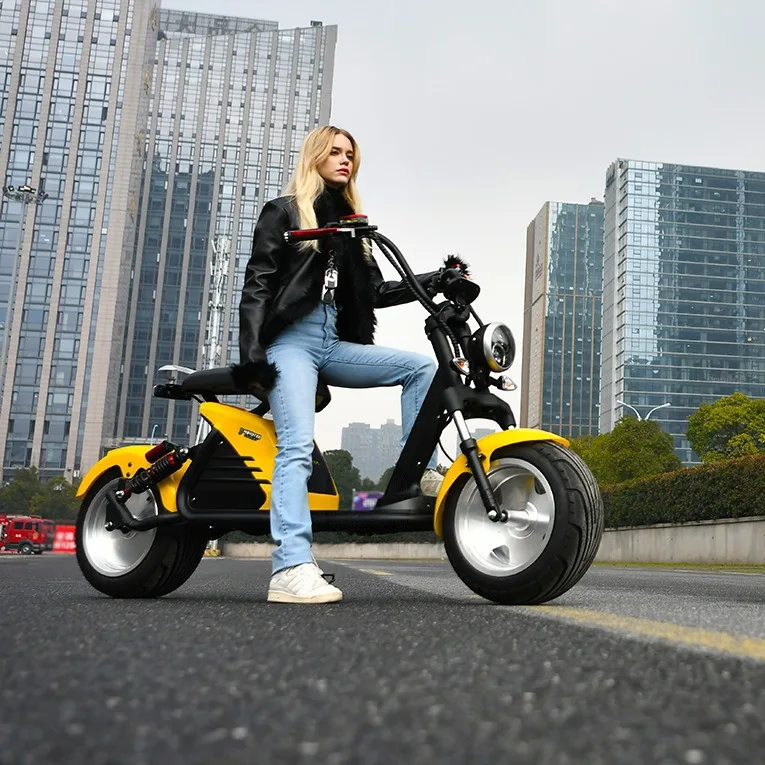 Electric Scooter Adult Off-road 2000W48V20AH Electric Bicycle Double Seat Electric Motorcycle Mountain Fat Tire Mobility Scooter