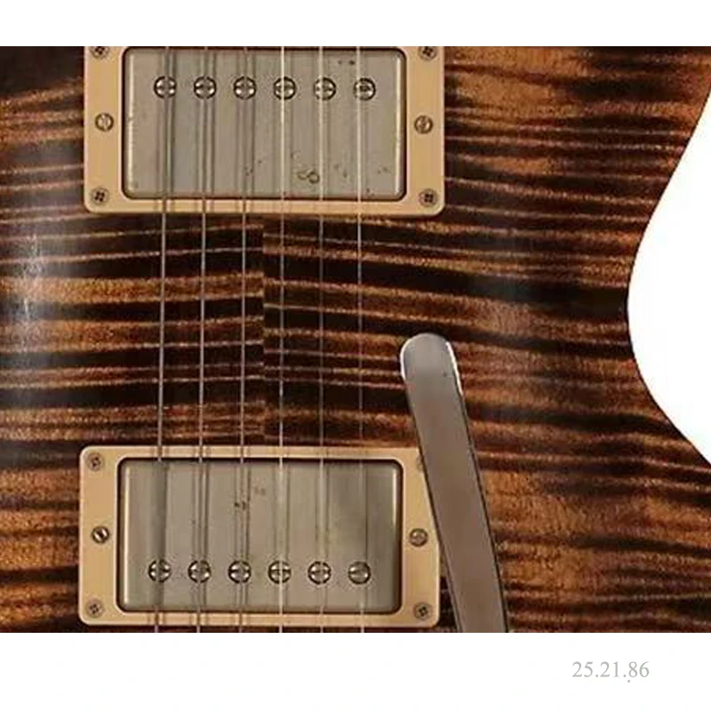 retro single cut solid body electric guitar, forest tiger burst glossy finish-Fret nibs -2 Humbuckers