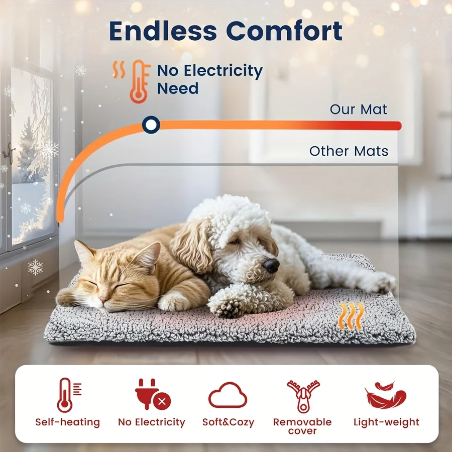 Winter Detachable P…