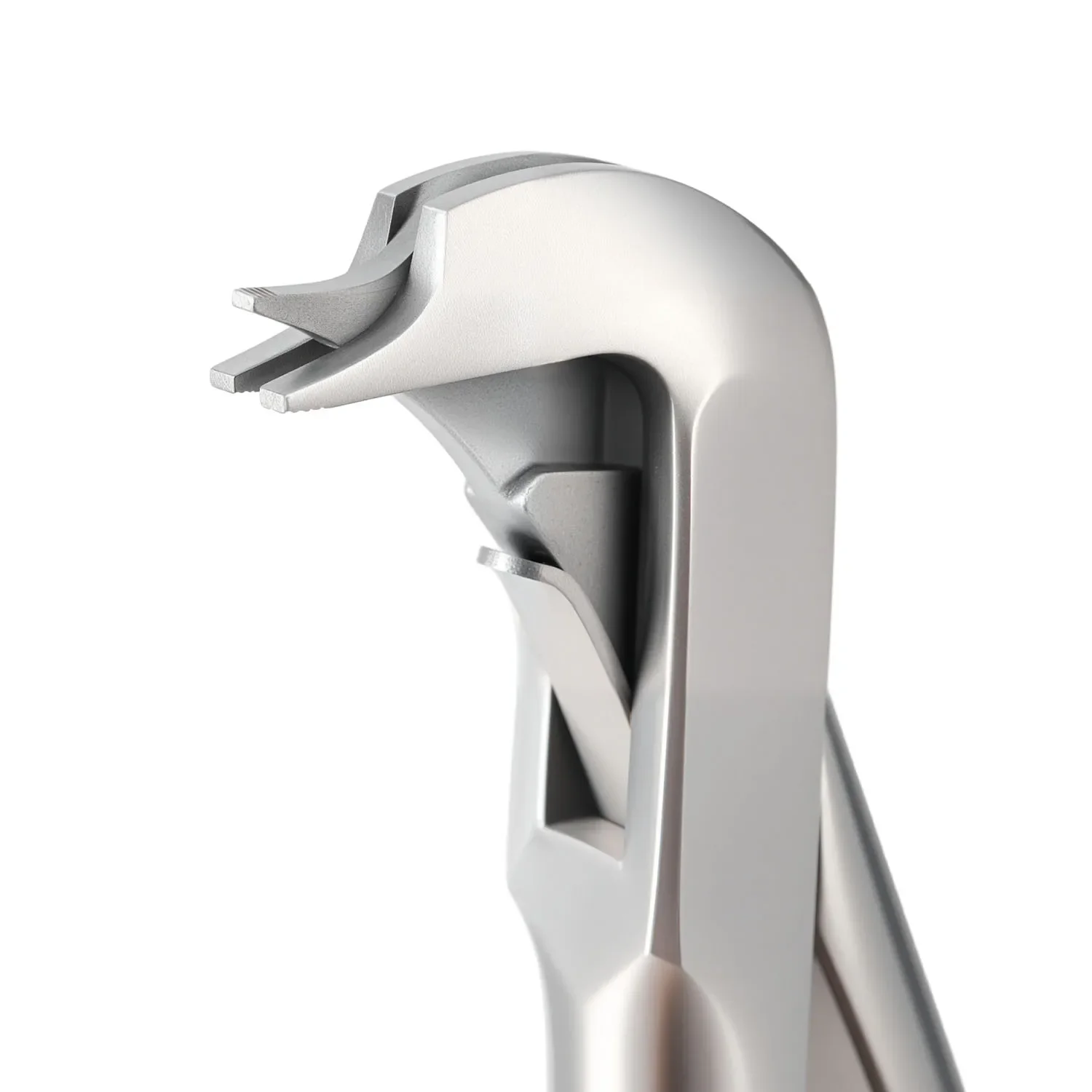 Durable Stainless Steel Forceps Tooth Crown Remover Plier