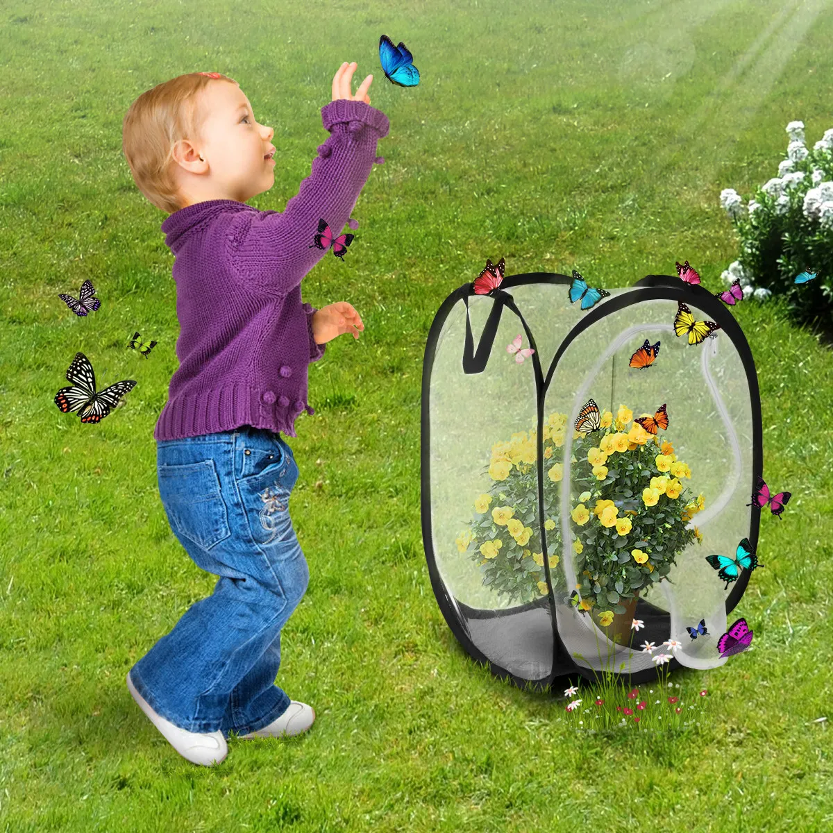 foldable-butterfly-observation-cage-for-kids-waterproof-fine-mesh-habitat-enclosure-for-raising-caterpillars