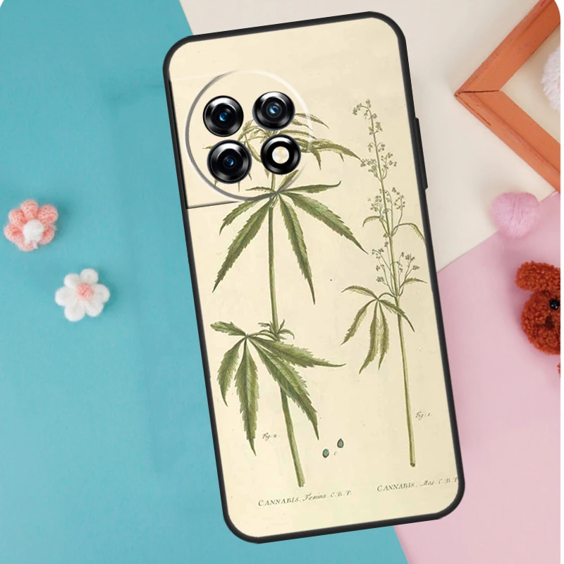 Botanical Drawings Flowers Plants Case For OnePlus 12 11 9 10 Pro 9RT 10T 10R 12R OnePlus Nord N10 N20 CE 2 3 Lite 2T Cover