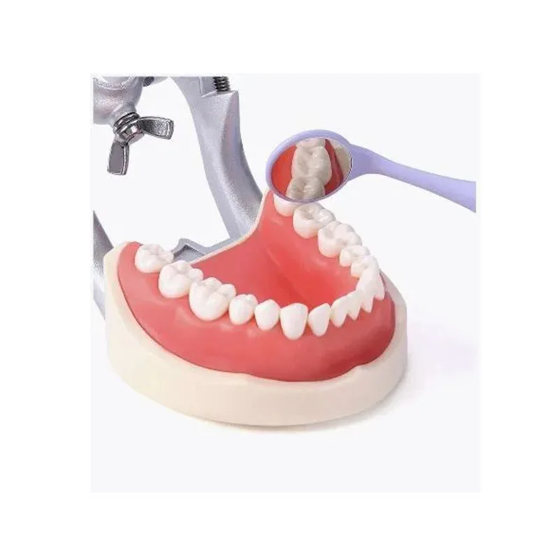 10PCS Dental Stainless Steel Double Sided Oral Mirror High Temperature Sterilizable High Quality Front Surface Inspection Refle