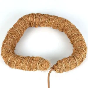 دعم كرمة تسلق أسفل الخيوط ، يمكن ثنيه وتشكيله ، عمود حديقة الشجرة الخضراء ، عصا جوز الهند المشوهة ، تسلق النبات ، 1 قطعة أعلى 8 مبيعات تسلق شجرة جوز الهند - رقم 4