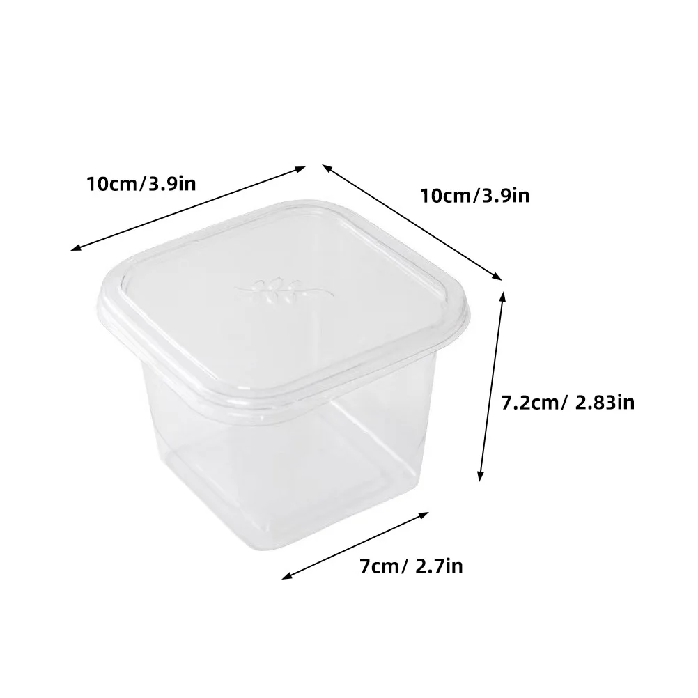 50Pcs Clear Cake Containers Mini Dessert Boxes Cupcake Biscuit Storage Reusable Sturdy Party Favor Packaging Mini Cake Boxes