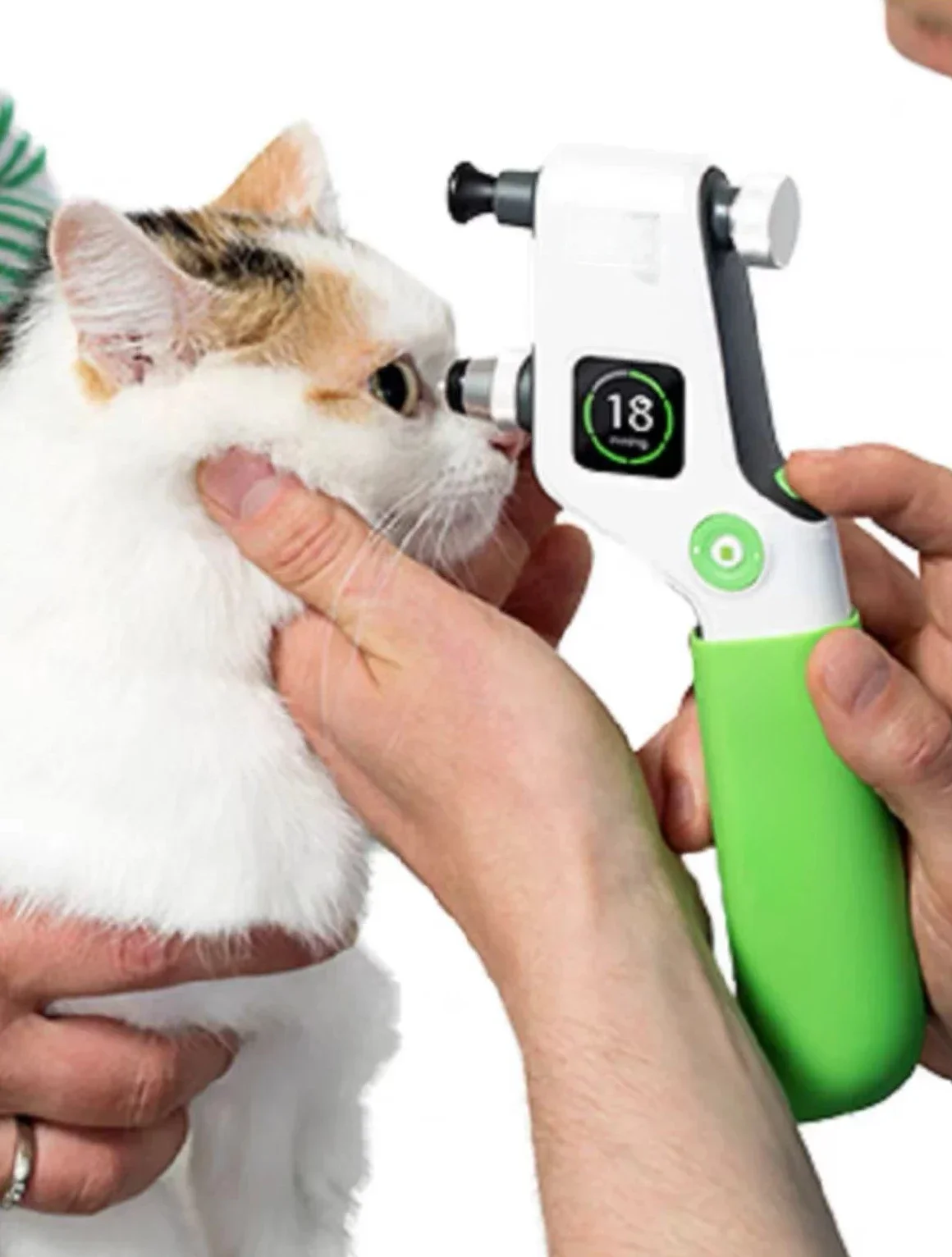 الحيوانات الأليفة فقط، مقياس توتر ICare، مسبار إبرة الضغط الارتدادي