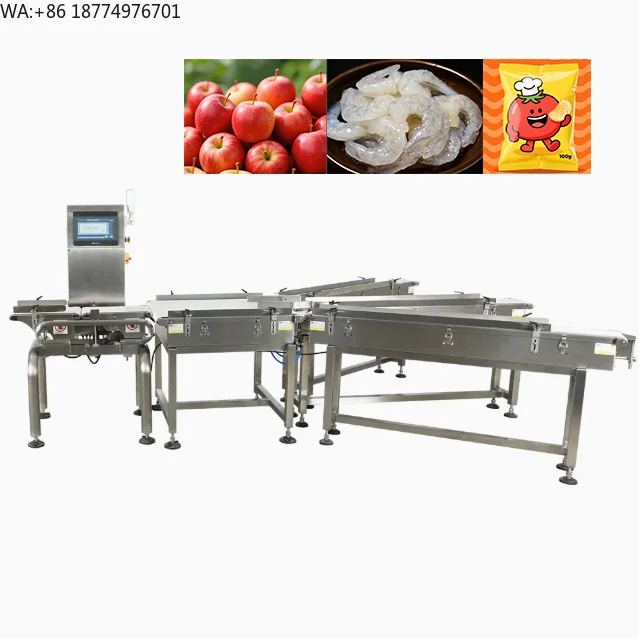 Automatic Conveyors Food Checkweigher Conveyor Machine for Fruit Vegetable Meat Weight Sorting Conveyor System