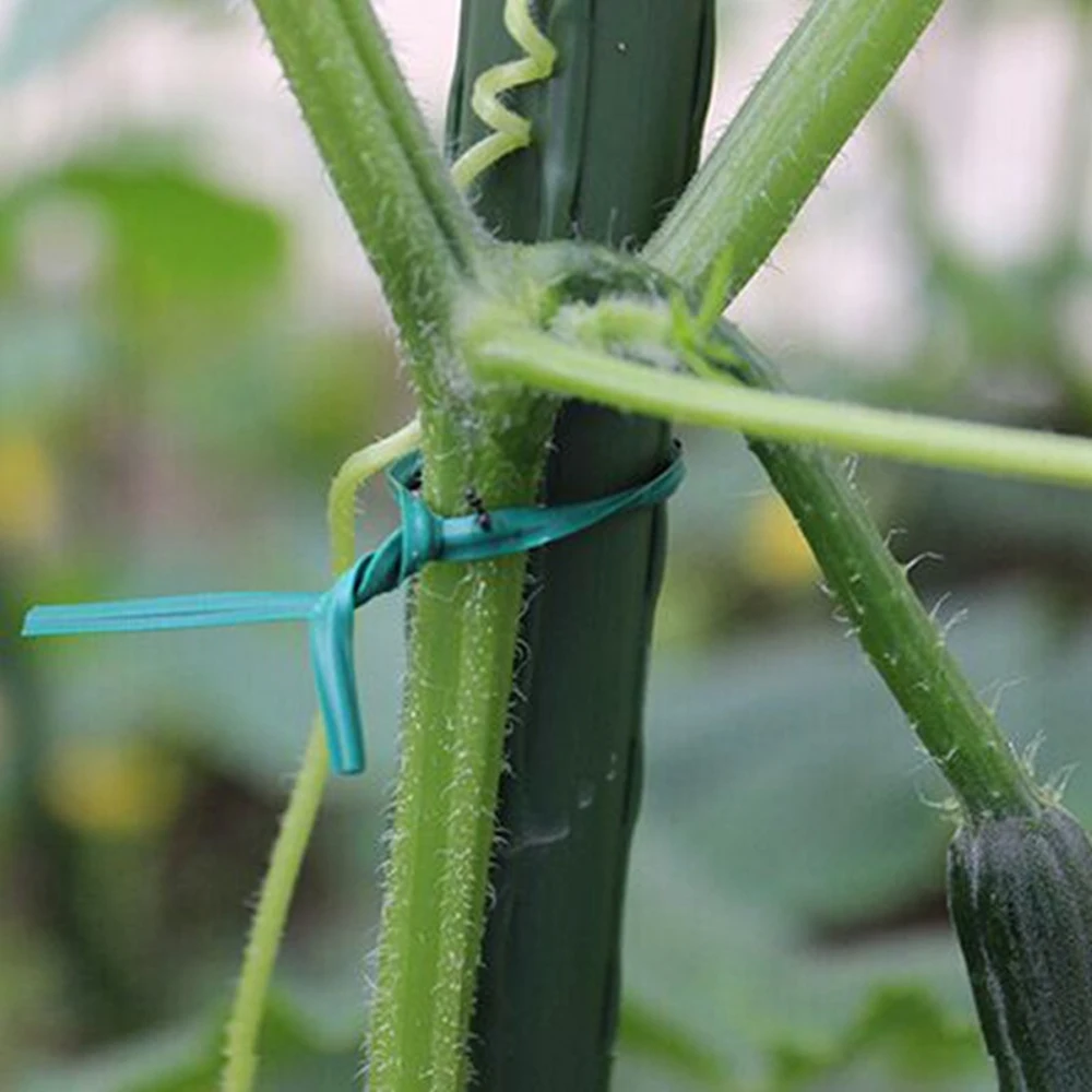 100pcs Green Gardening Vine Climbing Plants Cable Tie Lines Plant Parts Flower Cucumber Grape Rattan Supports plant support