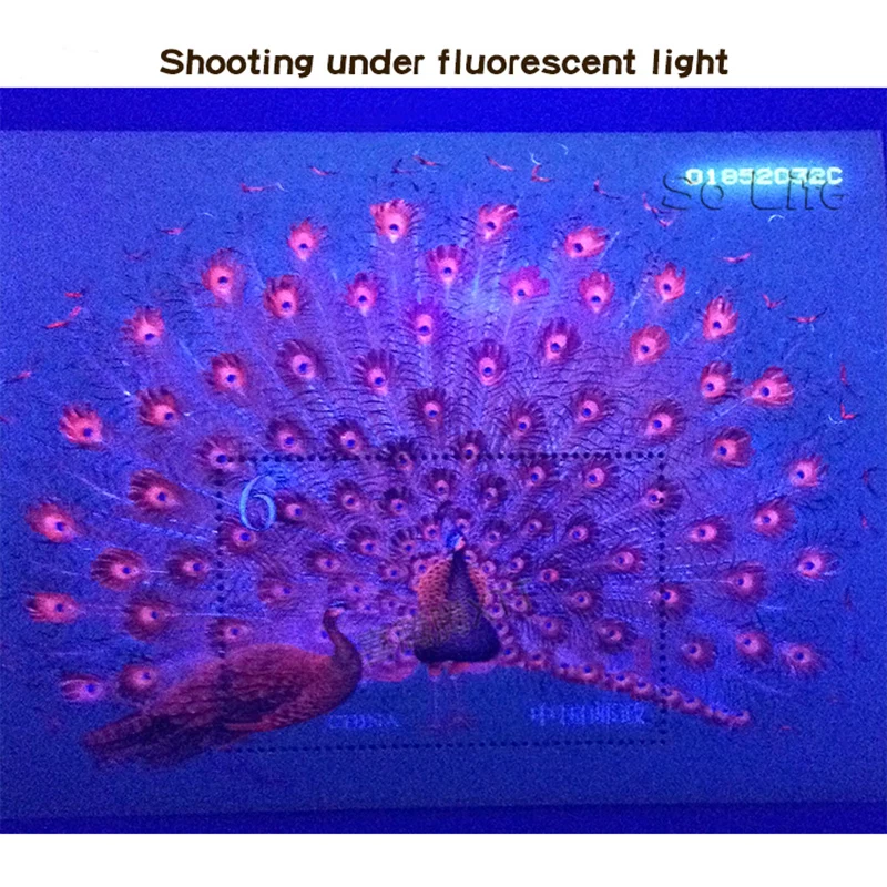 2004-6، طاووس، ورقة مصغرة. طوابع بريدية، طوابع بريدية، بريد، مجموعة #3