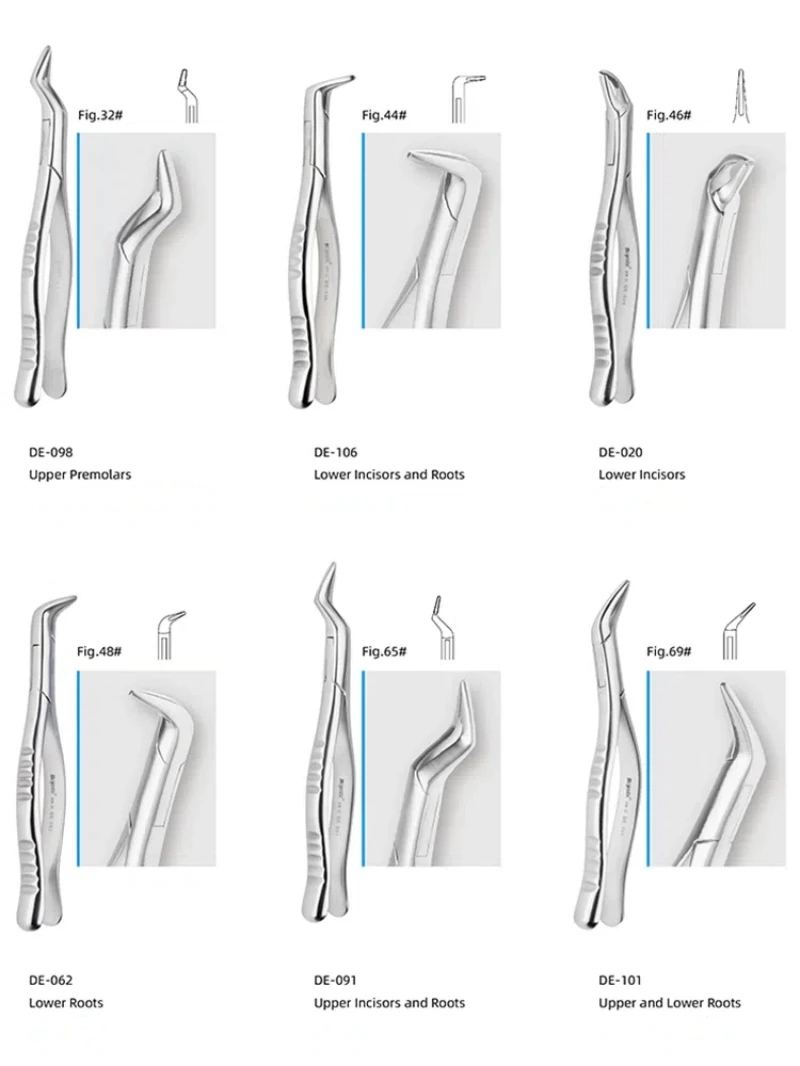 1pc wysokiej jakości dentystyczne szczypce do usuwania zębów dla dorosłych szczypce do usuwania zębów szczypce do usuwania zębów szczypce