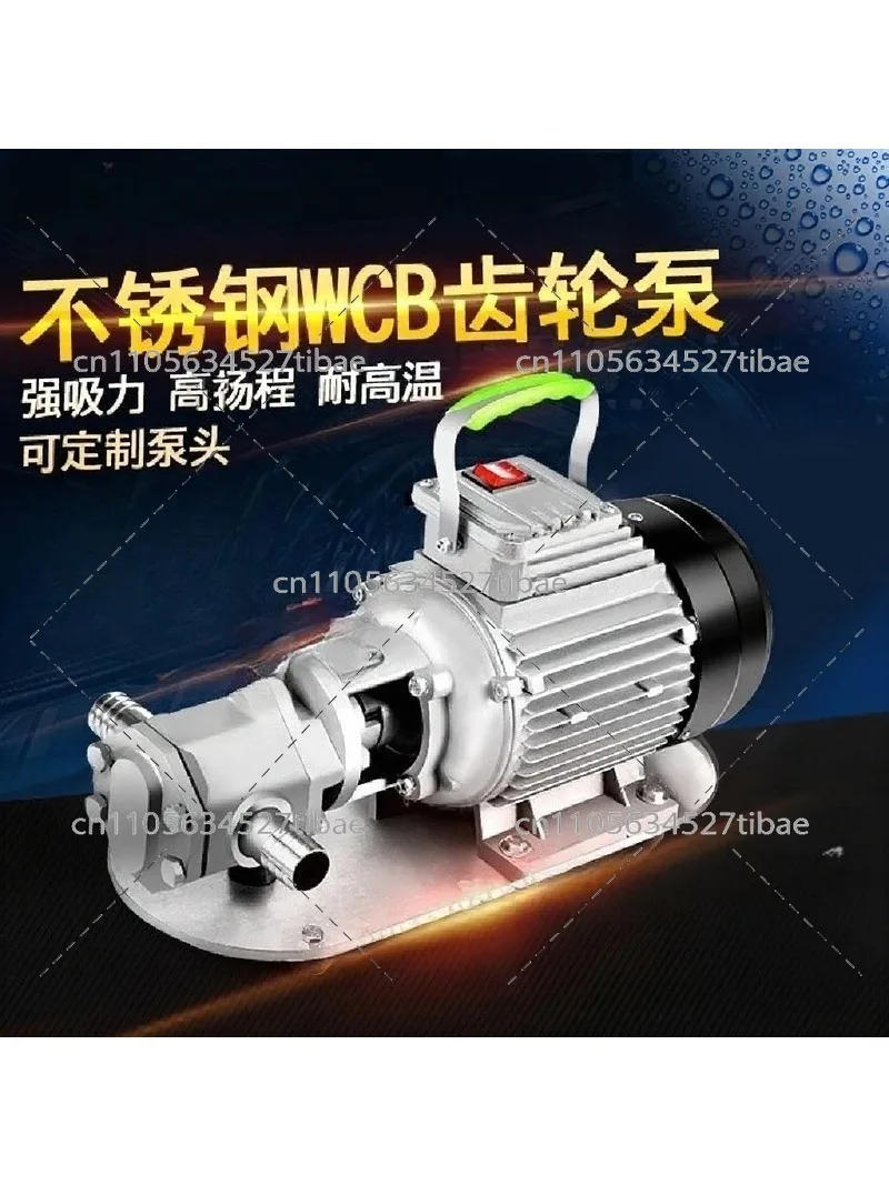 Stainless Steel Electric Transfer Pump 220V 380V Self Priming High Viscosity