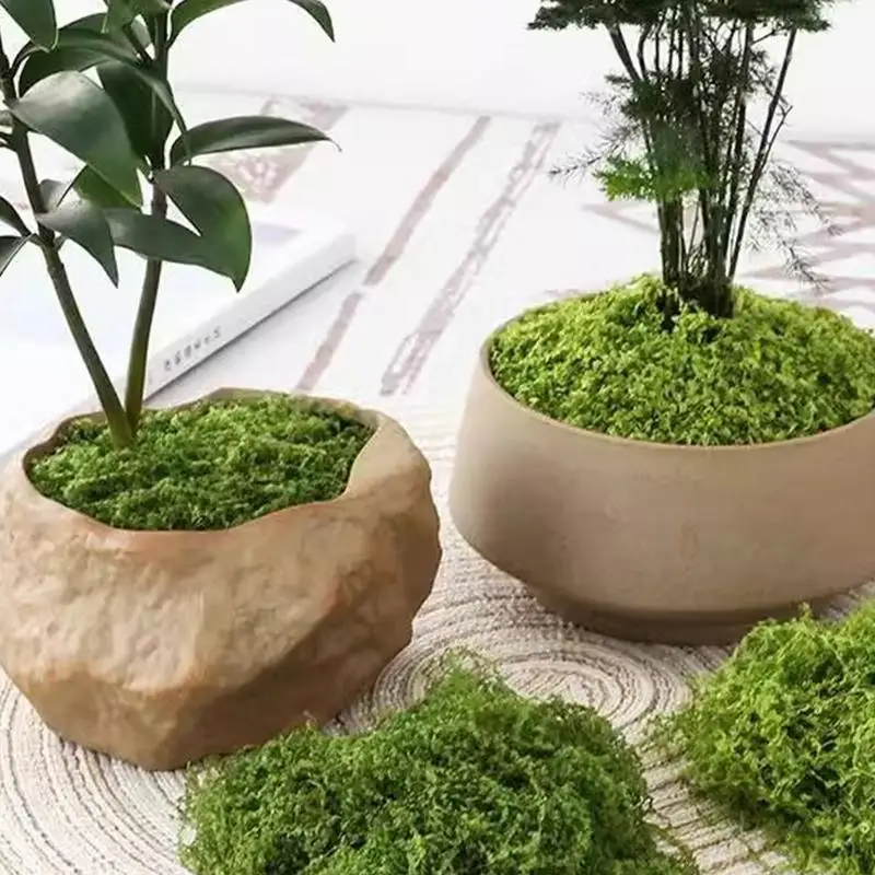 Artificial Fake Moss 100g Decorative Moss For Projects Breathable Colorfast Fake Moss Artificial Moss