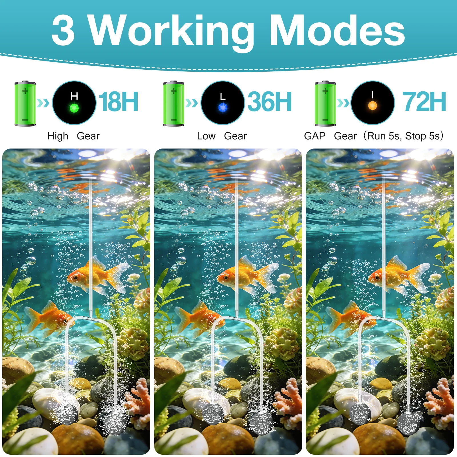Thumbnail 4 - #18 Popular Ponds Choices