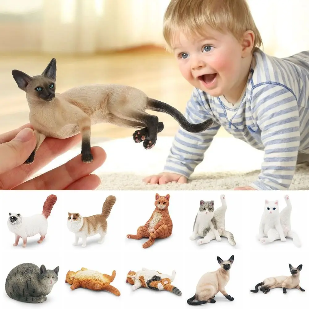 10 Figuras De Gato Realistas De PVC – Set De Miniatura Para Decoración De Tartas, Paisaje O Cumpleaños (Tamaños 3.8-6.35cm) Figuritas De PVC 10 Figuras De Gato Realistas De PVC – Set De Miniatura Para Decoración De Tartas, Paisaje O Cumpleaños (Tamaños 3.8-6.35cm) Figuritas De PVC