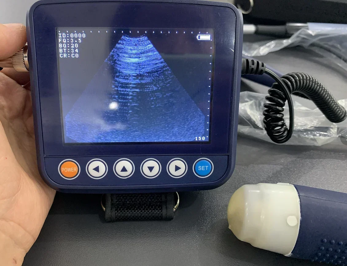 Professional Animal… - image