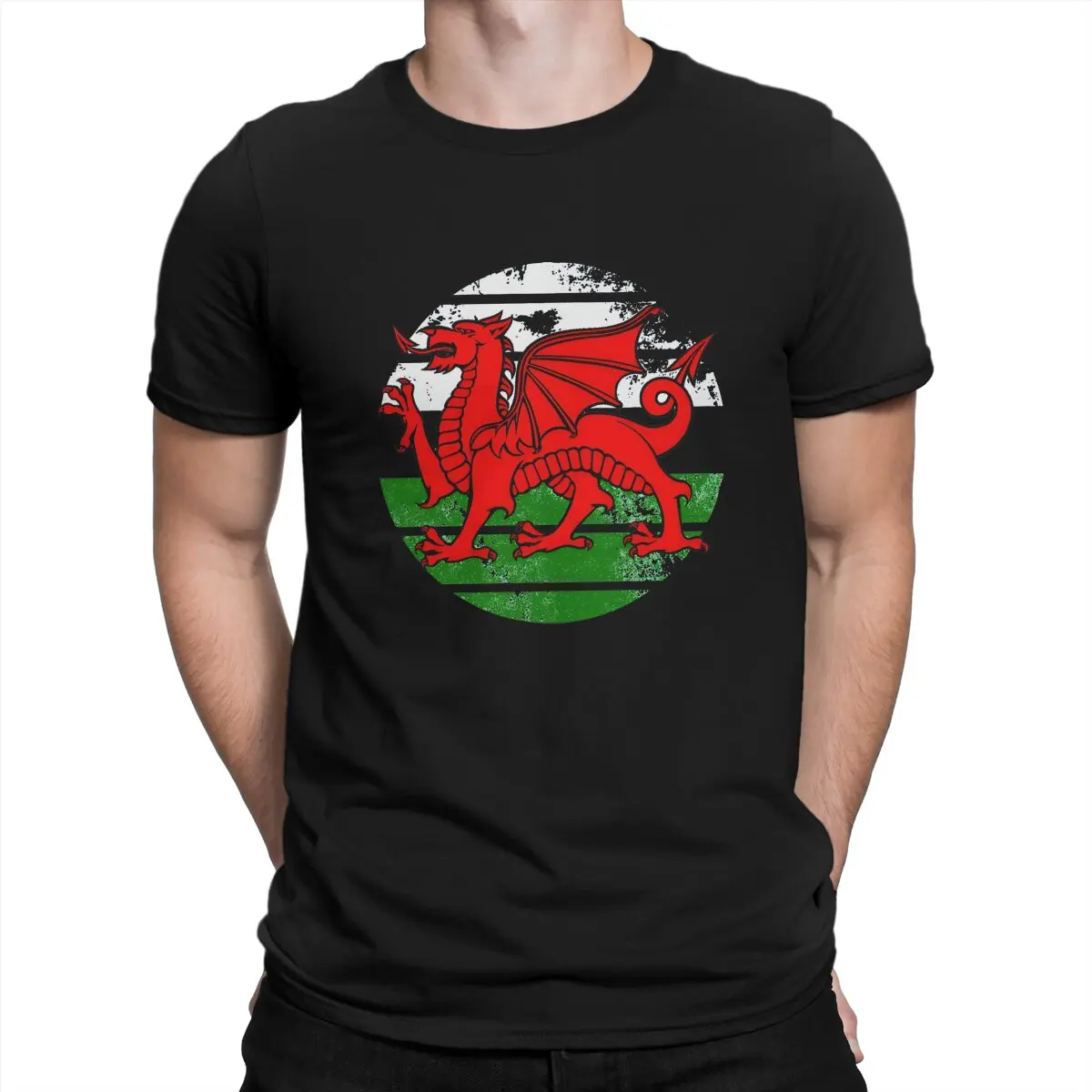 Welsh Cool Dragon Emblem On A Weathered Effect Image Tshirt Graphic Men Tops Vintage Punk Summer Polyester  Harajuku T Shirt