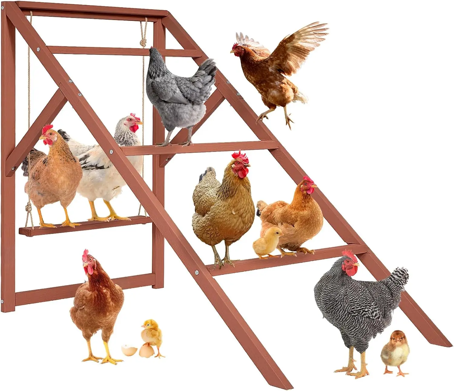 Backyard Chicken Coop, Fir Wood, No Color Specified, Multi - Level Design with Roosting Bars & Swings, Durable and Easy Assembly