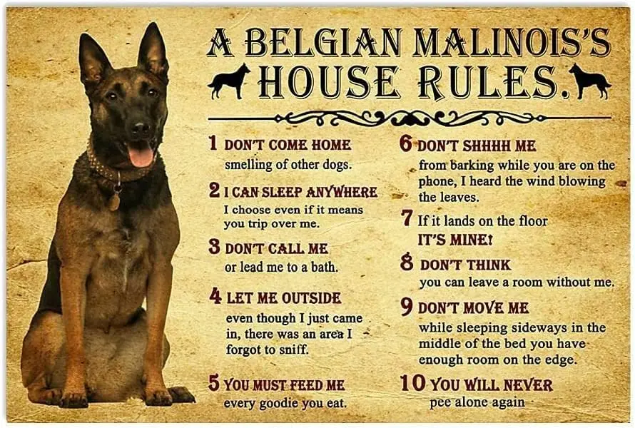 Metal tin Sign House Rules by Belgian Malinois Dog Rules Metal Tin Sign Wall Decor Tin Signs Fun Novelty Sign Farmhouse Decor Gi