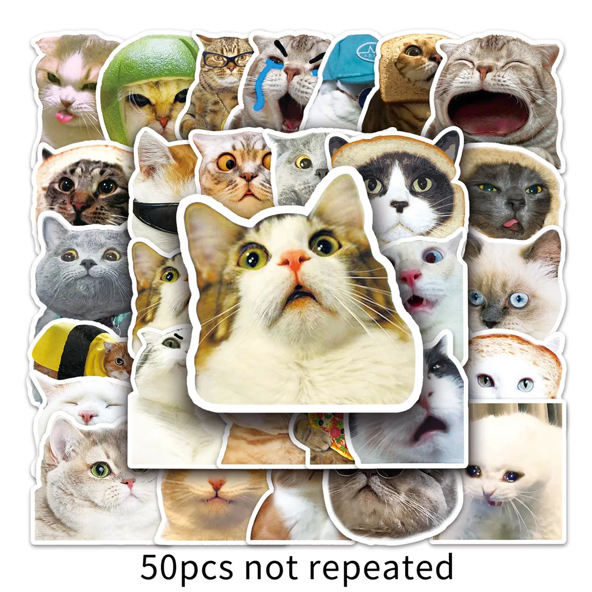 50PCS Cat MEME Funny Animals Stickers Vintage Toy DIY Kids Notebook Luggage Motorcycle Laptop Refrigerator Decals Graffiti