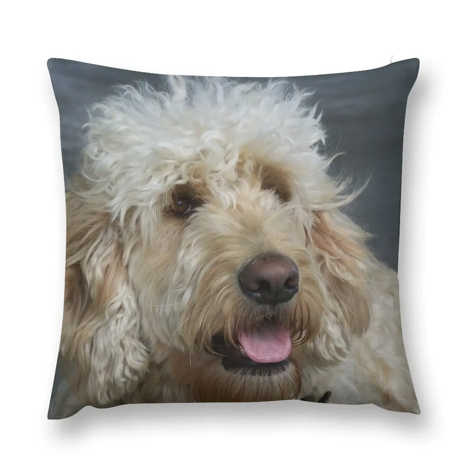 

LabraDoodle Throw Pillow Luxury Cushion Cover Pillow Covers Decorative pillow