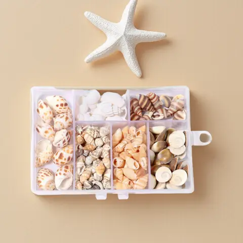 1 Box Sea Shells Spiral Shell Tiny Ocean Spiral Seashells Crafts Aquarium Decoration Landscaping Accessories Photography Props