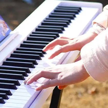 Piano Electrónico Plegable SLADE de 88 Teclas, Órgano Electrónico, Instrumento Musical con 128 Tonos, Salida MIDI, para Principiantes, con Bolsa y Accesorios