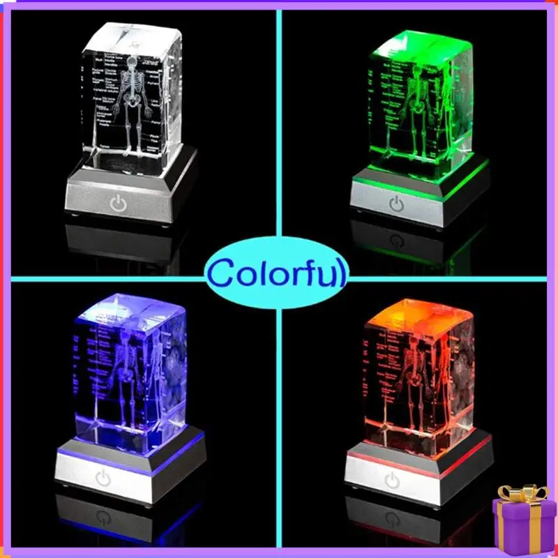 

Human Skeleton Model Anatomy Gift Crystal Skeleton Model -Statue Bone Item For Students