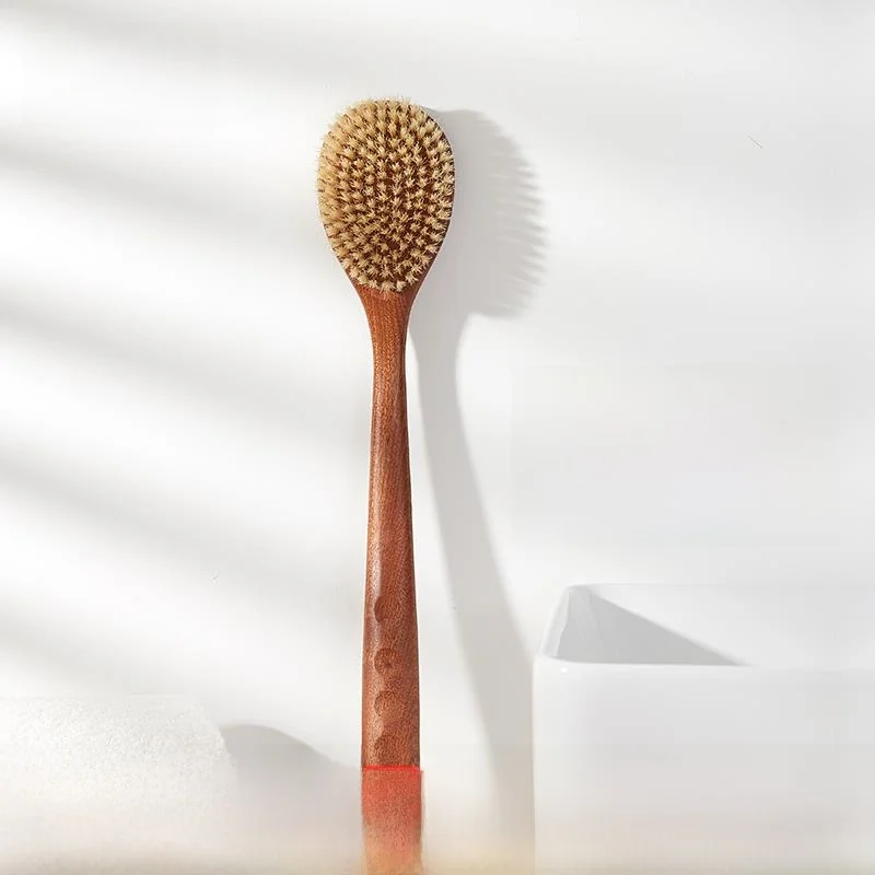 brosse-de-bain-en-bois-a-long-manche-poils-doux-brosse-seche-pour-le-dos-brosse-corporelle-en-poils-de-porc-outil-de-nettoyage-personnel-familial