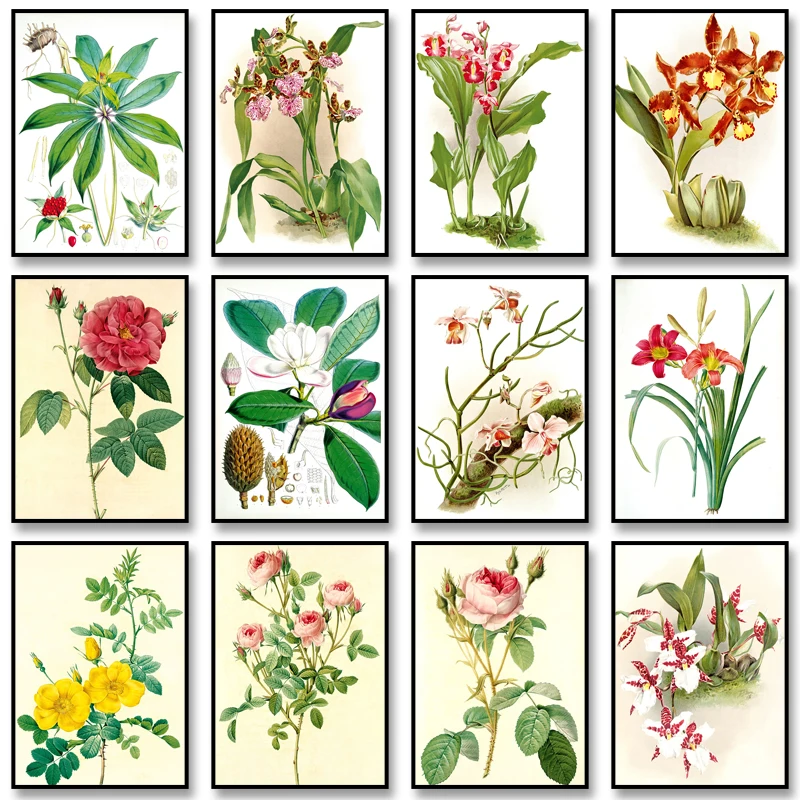 Vintage Flower Posters Plant Orchid Prints Dendrobium Orchid Rose Gallica Canvas Painting Wall Art Picture for Home Decoration