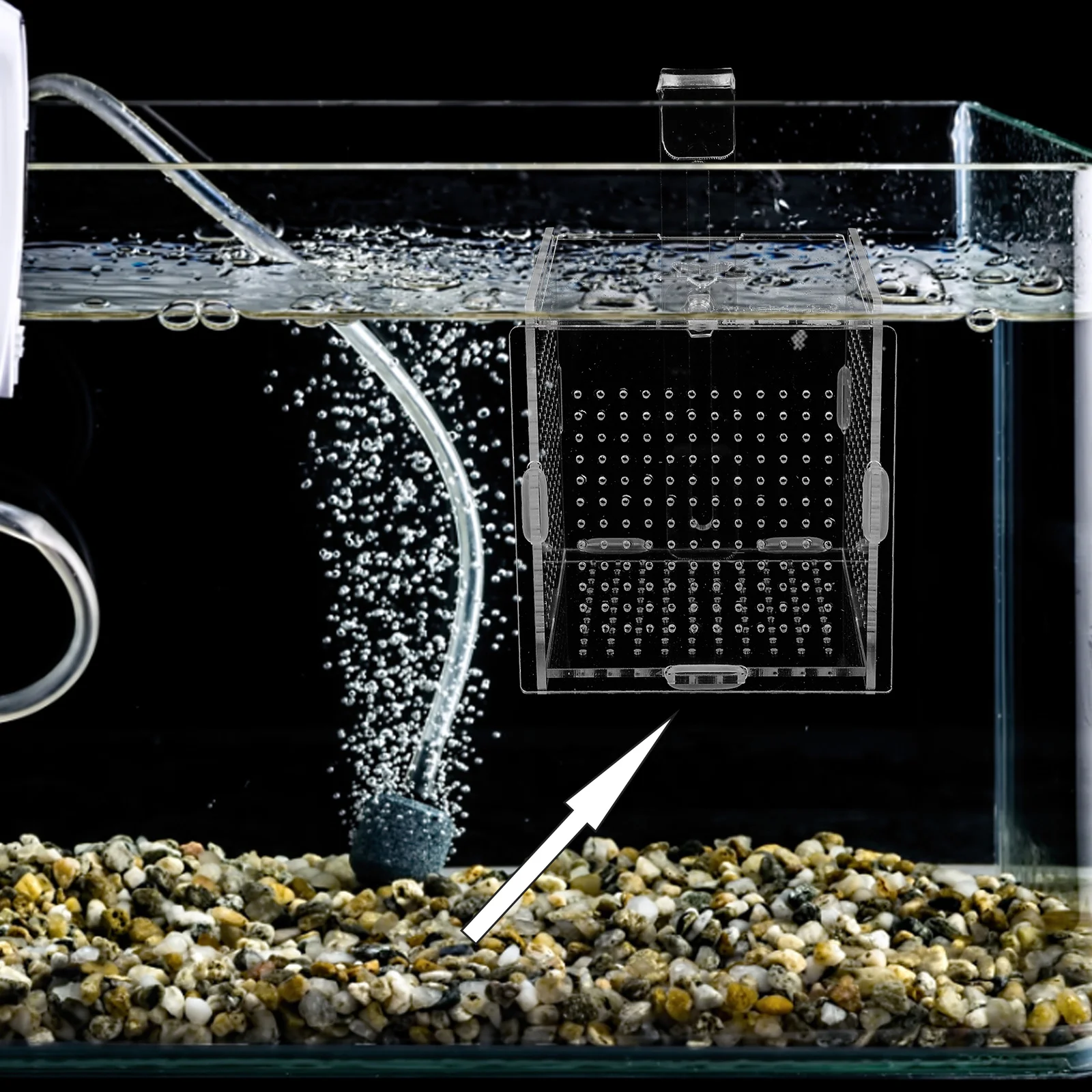 

1Set Acrylic Fish Isolation Box Aquarium Breeding Holder Fish Tank Hatchery Incubator Transparent Cover Suction Cups Hook