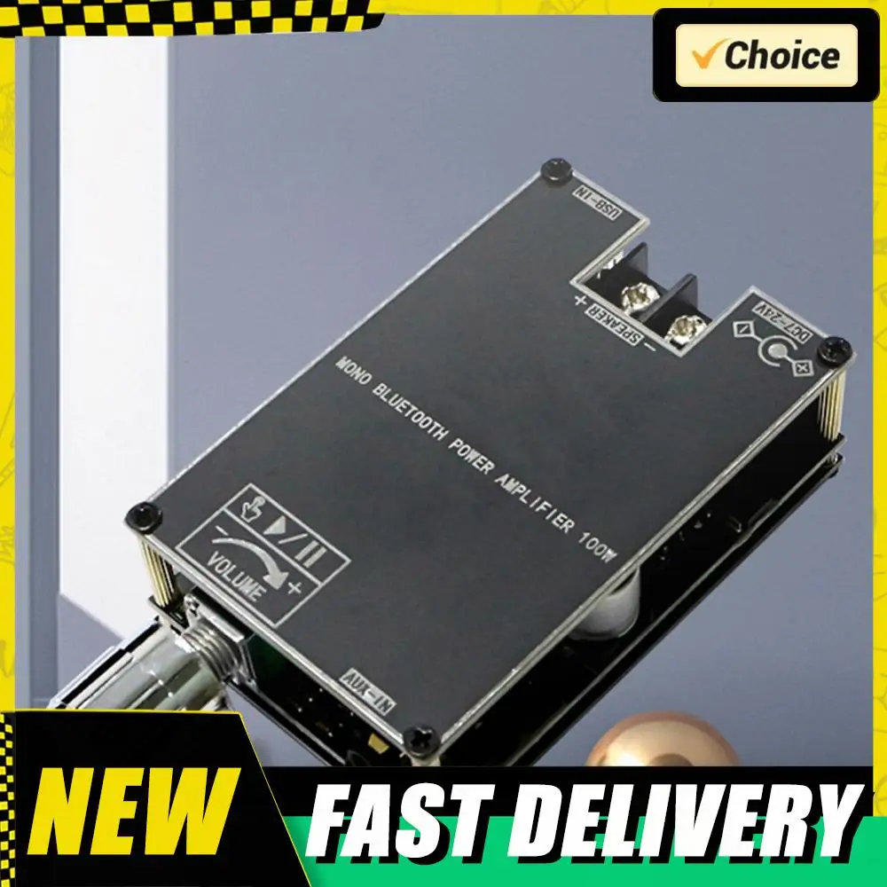 ZK-1001B Mono 100W …