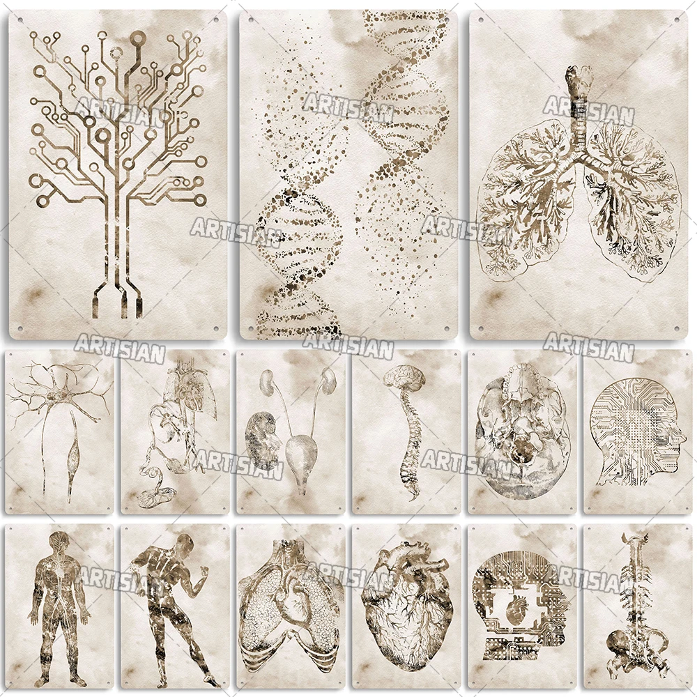 Artisian Clinic Metal Plaque Dentisit Tin Sign Anatomy Decorative Plate Medical Hospital Surgery Tooth Organ Bones Nerve Brain