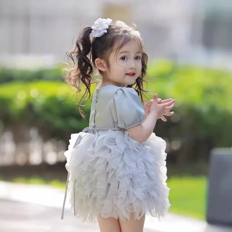 Spring Baby Girl Birthday Dress First Birthday Gown Cake Dress Toddler Girl Dress Elegant Puffy Tulle Princess Dress