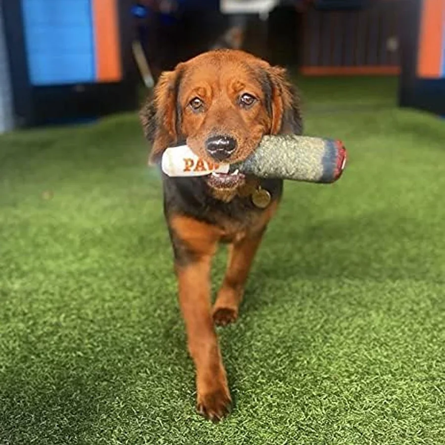 Funny Interactive Dog Toys - Cigar Design Plush Squeaky Pet Toys Grinding Teeth Creative Chew Toy For Small Medium Dog image 4