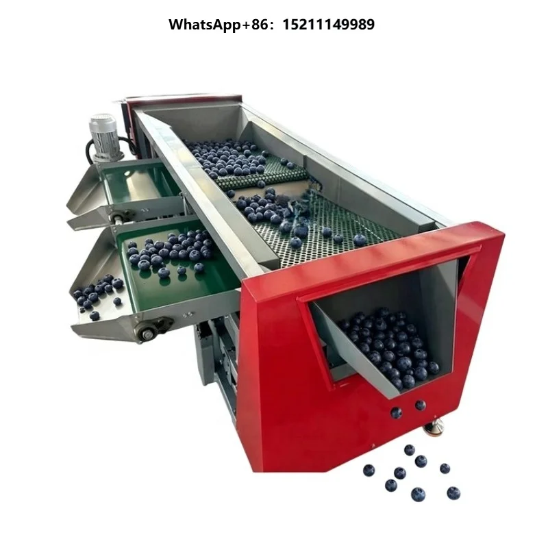 High Efficiency Farm Use Blueberry Size Sorting Machine Fruit Grader Machine Blueberry Sorting Machine