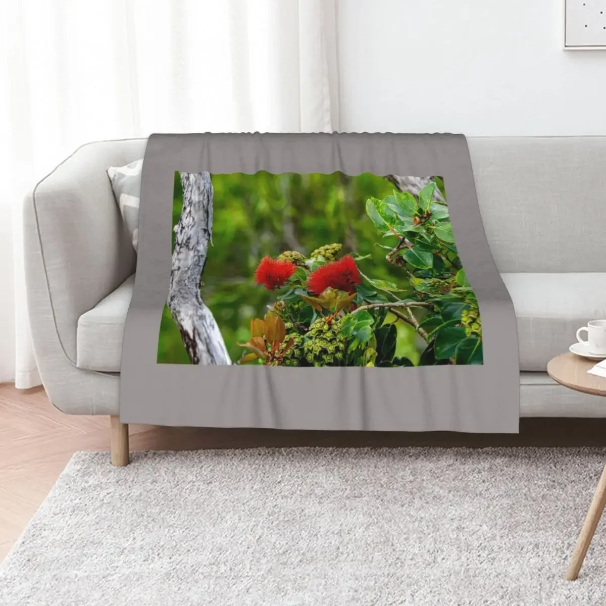 

Lehua Twice Throw Blanket Plaid on the sofa Decorative Sofa Flannels Single Blankets